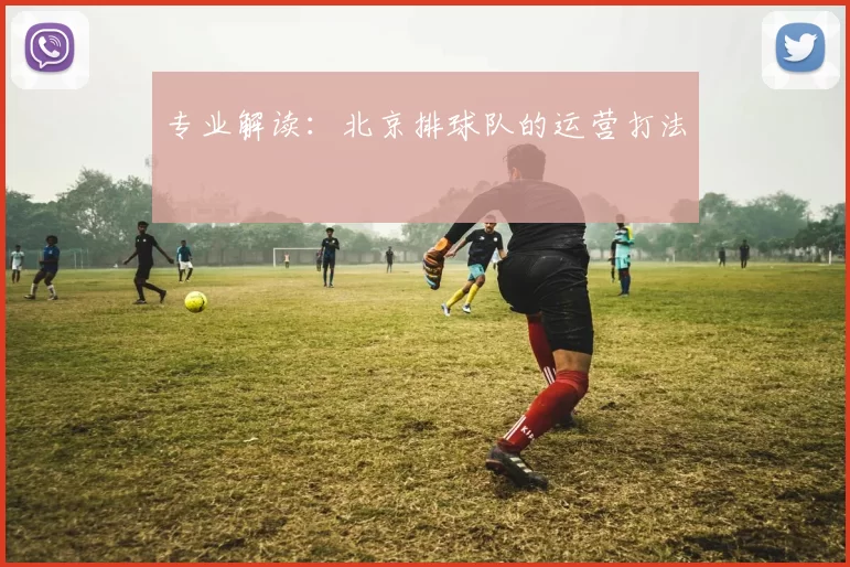 专业解读：北京排球队的运营打法