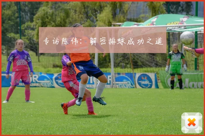 专访陈伟：解密排球成功之道