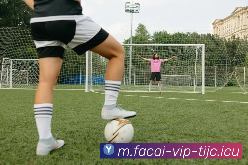 赛后复盘：北京排球队与杭州排球队状态对比分析与未来展望